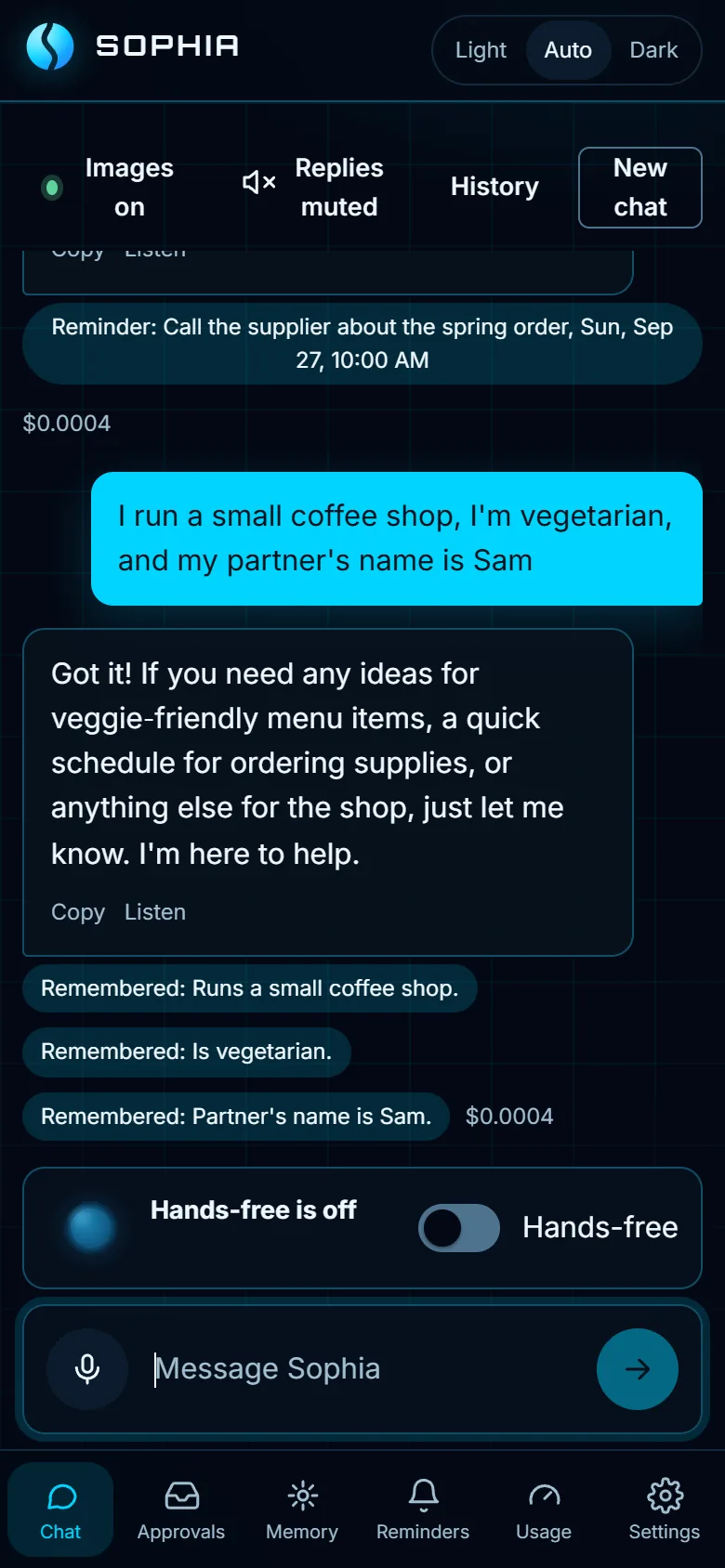 A chat where Sophia notes three facts and shows a Remembered chip for each