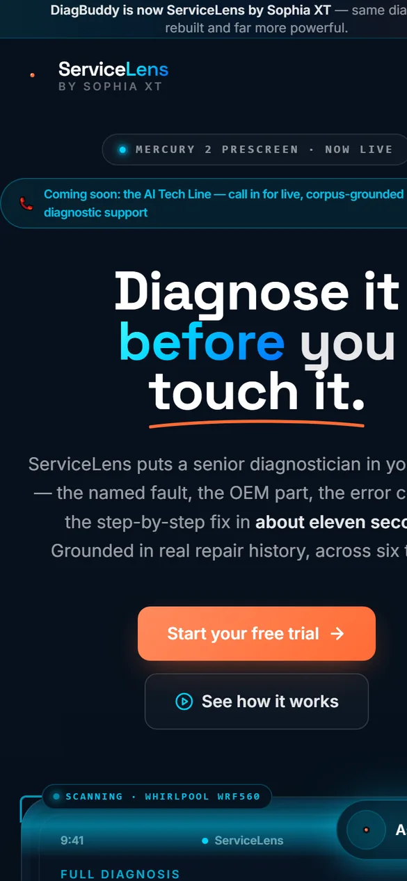 The public DiagBuddyGO site